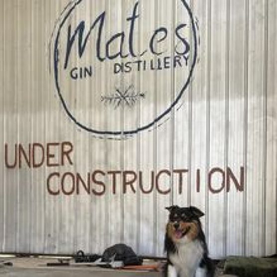 Mates Distillery & Gibbs