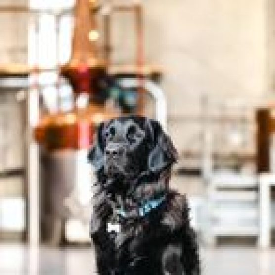 Bass & Flinders Distillery & Remy
