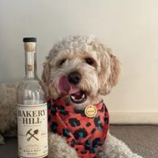 Bakery Hill Distillery & Archie