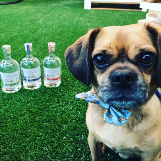 Tiny Bear Distillery & Mavie