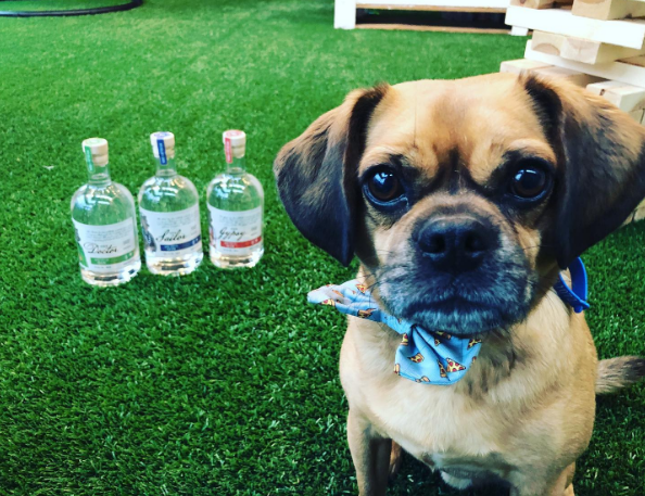 Tiny Bear Distillery & Mavie