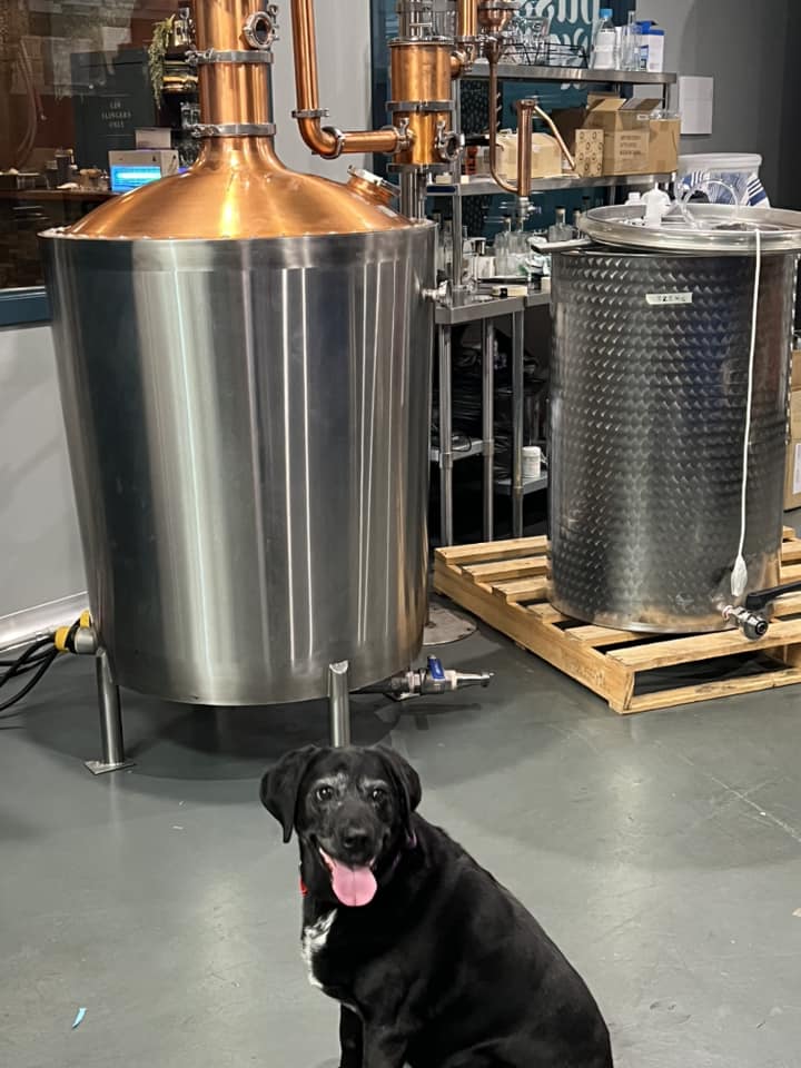 Puss & Mew Distillery